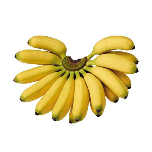 Banana Ducasse Each