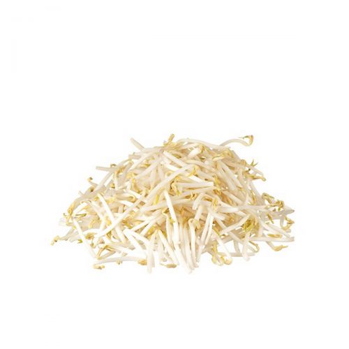 Bean Sprout 300g/ 400g